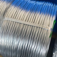Rouleau de fil d'acier galvanisé de 0,5 mm à 2,5 mm de diamètre, galvanisation à chaud, électrogalvanisation, soudage, pliage, découpe API