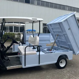 Chinese Factory Prices 2 4 6 8 Seater Electric Golf Cart With High Quality Electric Buggy Electric Golf Buggy