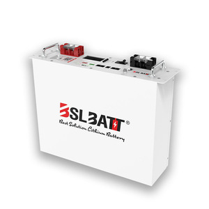 <span class=keywords><strong>BSLBATT</strong></span> personalizado larga duración 24v 100ah montado en rack Lifepo4 batería 2.56kwh batería de litio para almacenamiento de energía - Product Image 1