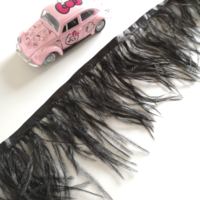Vente directe usine – Garniture en plumes d'autruche teintées de 10-15 cm pour costumes de carnaval, décorations de jupes et accessoires vestimentaires