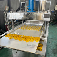 Petite presse hydraulique à biscuits à la noix de coco Machine de mise en forme de biscuits à la noix de coco Presseur de biscuits préférés