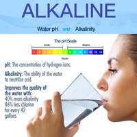 Filter Air Alkali Karbon Aktif OEM Berkualitas Tinggi 2.5L PH8.0