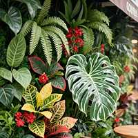 2 panneaux muraux de plantes artificielles en plastique, style clôture en bois, pour décoration verticale intérieure et extérieure