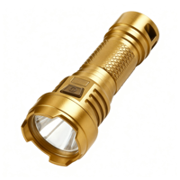 Lampe torche LED rechargeable de poche 120 lumens avec batterie 14500, étanche IP44 pour les aventures en plein air