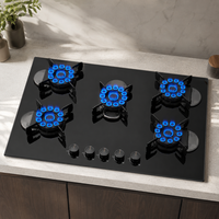 Kompor Gas Tanam 5 Tungku Panel Kaca Temper Kontrol Tombol Daya Api Tinggi Kelas Portabel Rumah Tangga, Kompor Gas Komersial