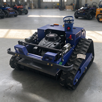 Mesin Pemotong Rumput Crawler Remote Control Terlaris, Mini Robotic Flail Mowe