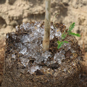 Welldon – Polyacrylate <span class=keywords><strong>de</strong></span> <span class=keywords><strong>Potassium</strong></span> à usage agricole, polymère absorbant, cristal d'eau, Hydrogel, Polyacrylate <span class=keywords><strong>de</strong></span> <span class=keywords><strong>potassium</strong></span> - Product Image 3