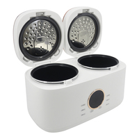 Double bol intelligent 800w 2l double pot prix automatique intelligent petit multifonction numérique mini cuiseur à riz électrique
