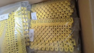 Granja managnement diferentes colores animal en blanco Etiqueta de oreja crotales para ganado de vaca - Product Image 6