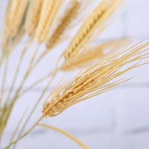 Plante Artificielle Colorée 2026 Noël Riz Écologique 71CM Esthétique Grande Taille Gazon Terrain de Football Intérieur - Product Image 6