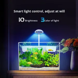 Kit d'<span class=keywords><strong>aquarium</strong></span> de bureau tout-en-un avec lumière, filtre, plateforme de bain de soleil pour tortues, petit <span class=keywords><strong>aquarium</strong></span> en plastique pour la décoration de la maison ou du bureau - Product Image 3