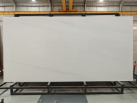 Dalle murale extérieure en pierre frittée aspect marbre blanc glacier soyeux 3200x1600x12mm, plateau de table moderne, haute qualité à prix abordable