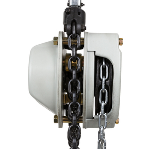 10 Ton Chain Hoist Toyo Low Price 1 Ton 2Ton 3Ton 5 Ton 10 Ton Hand Manual Chain Pulley Block Hoist Manufacturer