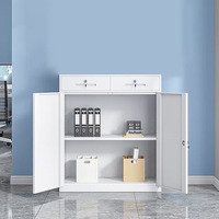 Armoire Métallique Professionnelle à 2 Portes, Casier de Rangement en Acier, Armoire de Classement Haute en Acier, Casier de Bureau en Acier