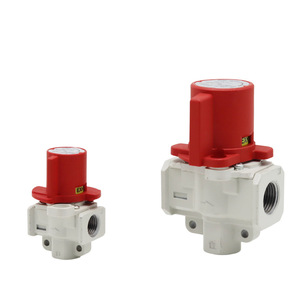 Vanne de décharge de pression résiduelle à réglage manuel de type SMC Shengyu VHS30 VHS20-01A Vanne de réduction de pression - Product Image 1