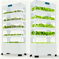 Jardinières d'intérieur de conception nouvelle - Système de culture hydroponique vertical, pour la culture à domicile de plantes à croissance rapide