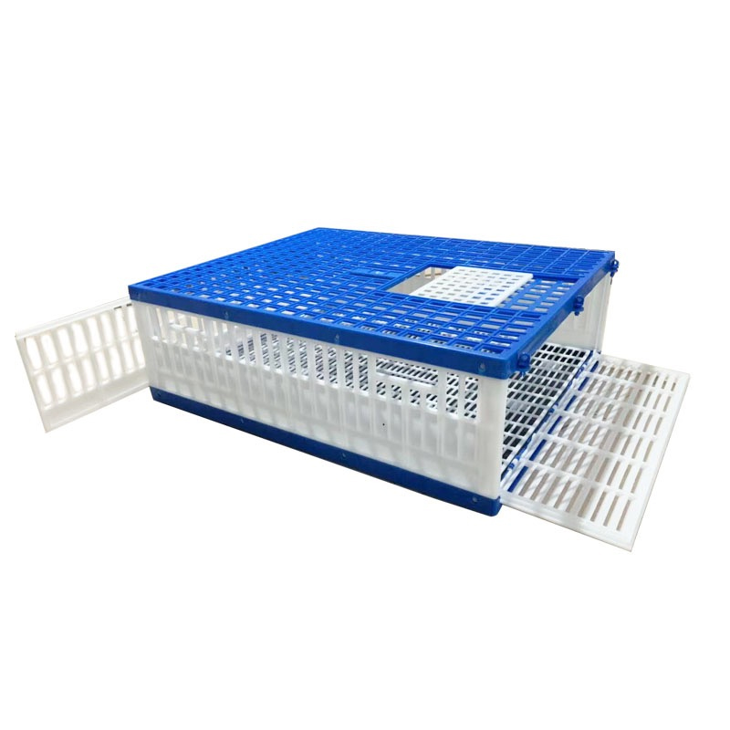 racing pigeon baskets