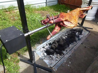 Moteur de tournebroche pour barbecue, capacité 30 kg, 240 V, en acier inoxydable, robuste, pour grill électrique rotatif