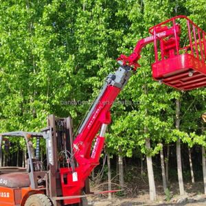 Retracable הרמה מרובה תפקודי הרמה כל-הקרקע הידראולי ארבעה כונן מחוץ לכביש מלגזה זנב מלגזה - Product Image 2