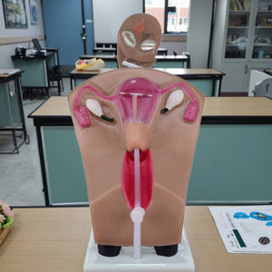 Simulador Avançado de Dispositivo Intrauterino (DIU) para Treinamento Feminino - Product Image 4