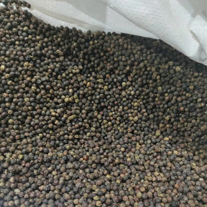 พริกไทยดำเวียดนามขายดี คุณภาพสูง เครื่องเทศรสเข้มข้น อบแห้ง ราคาส่ง - Product Image 4