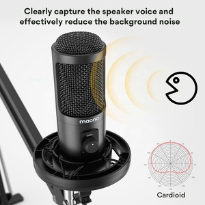 Bộ thiết bị thu âm phòng thu OEM, cần gạt điều chỉnh, kèm núm chỉnh độ khuếch đại micro, micro USB, thu âm phòng thu, phát trực tiếp - Product Image 2