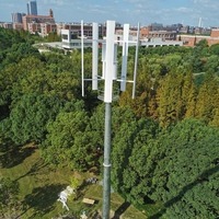 Modèle populaire Usage Domestique Petit Générateur De Vent Vertical Turbine 400w 12v 24v