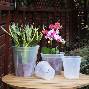Pots d'orchidées, trous, soucoupes, plante en <span class=keywords><strong>plastique</strong></span> transparent, <span class=keywords><strong>jardinière</strong></span> d'intérieur, Mini <span class=keywords><strong>jardinière</strong></span>, pot de fleurs d'extérieur, pots de fleurs en <span class=keywords><strong>plastique</strong></span> - Product Image 4
