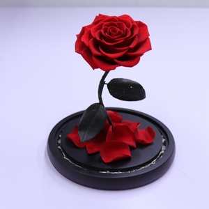Kuning-cúpula de cristal con luces led, flor de <span class=keywords><strong>la</strong></span> bella y <span class=keywords><strong>la</strong></span> <span class=keywords><strong>bestia</strong></span>, flor preservada de bella Rosa duradera - Product Image 5