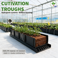 Système de culture hydroponique pour tomates et fraises, serre de jardin Venlo, gouttières en érable, grandes gouttières de culture pliables en PP noir KB Easy
