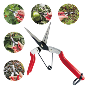 Kéo tỉa hoa, kéo cắt cành, kéo tỉa cây cảnh, kéo cắt tỉa hoa dạng mũi nhọn dài - Product Image 5