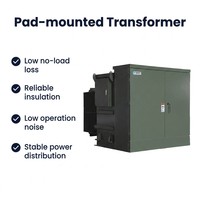 Transformador de Distribución Trifásico de 60Hz de Baja Pérdida, Montado en Plataforma, para Sistemas Solares y BESS Conectados a la Red