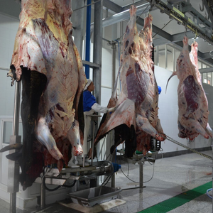 Équipement d'abattoir ligne d'abattage de porcs bovins moutons machines de <span class=keywords><strong>boucherie</strong></span> dans l'abattoir - Product Image 3