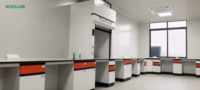 Équipement de laboratoire professionnel SCEELAB, hotte à fumées chimiques de conception contemporaine tout en acier, modèle de table de laboratoire pour hôpital et école