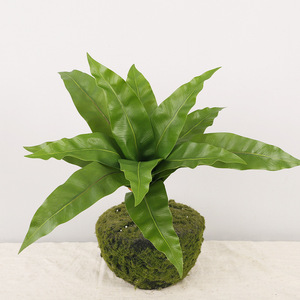 Artificial Brazilian Wood <b>Leaves</b> Single Piece High Simulation Home Decor Plant Wall Decoration - Product Image 3