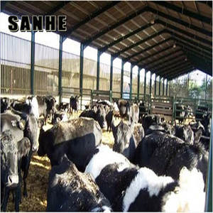 Đúc Sẵn Kết Cấu Thép Sữa Trại Đổ Di Động Gia Súc Giết Mổ Nhà - Product Image 2