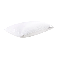 Oreiller en duvet de canard à 3 compartiments avec soutien cervical, option logo personnalisé, design rectangulaire moderne, housse en coton, vente en gros