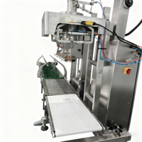 Machine de remplissage semi-automatique de poudre d'oxyde de fer, remplisseuse à vis sans fin de pigments haute précision 25 kg, équipement d'emballage polyvalent pour poudres