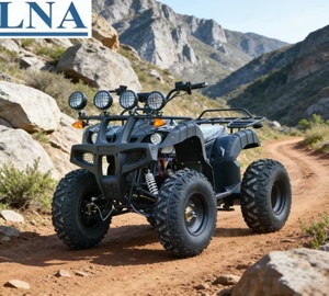 Cuatrimoto Eléctrica LNA con Transmisión Automática, 2000W, Resistente, para Alquiler - Product Image 1