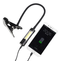 Lampe d'inspection de voiture Lampe BBQ portable High CRI Flexible Portable Barbecu Grill Light