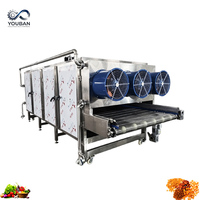 Hete-luchtcirculatie continue mesh-banddroger voor fruit, groenten, chilipepers, champignons en landbouwproducten (productielijn voor dehydratatie)