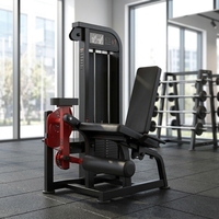 Machine professionnelle de musculation à charge par poulie pour extensions de jambes assises, équipement de gym pour entraînement des quadriceps