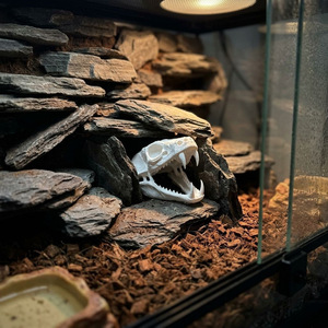Casa Escondite con Forma de Cráneo para Reptiles, Cueva Decorativa Blanca para Terrario, para Mascotas Pequeñas y Reptiles - Product Image 2