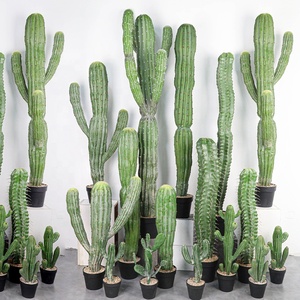 <span class=keywords><strong>Cactus</strong></span> <span class=keywords><strong>Artificiale</strong></span> Grande Stile Nordico Verde in PVC Morbido per Decorazione Interna e Fotografia Marca XY Pezzo Singolo - Product Image 4