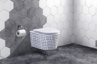 WC, sanitaires, toilettes murales bon marché, toilettes murales en porcelaine, cuvette de toilettes murale