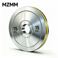 Disques de poids réglables en acier rond, codés par couleur, portables, électrolytiques, anti-corrosion, pour usage commercial et entraînement