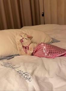 Disfraz <span class=keywords><strong>de</strong></span> Gato <span class=keywords><strong>Sirena</strong></span> para TikTok, Plegable, Decorativo, <span class=keywords><strong>de</strong></span> Poliéster, Cola <span class=keywords><strong>de</strong></span> Pez, Lavable, Duradero, Personalizado para Cumpleaños - Product Image 5