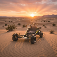 Go Kart Todoterreno Ecológico de Gasolina en Oferta, para Carreras Todoterreno, Drifting, Aventuras y Viajes
