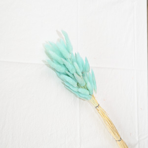 M714 <span class=keywords><strong>bouquet</strong></span> décoratif longue durée 60 <span class=keywords><strong>fleurs</strong></span> séchées naturelles queue <span class=keywords><strong>de</strong></span> lapin Bouquets d'herbe avec sac Opp - Product Image 6
