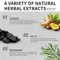 Shampo Herbal Jahe Label Pribadi Anti Rontok Anti Patah Mengontrol Minyak Menutrisi Anti Kusut Perawatan Kulit Kepala Mengembang Grosir
